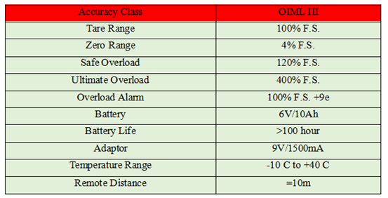 Crane Scale